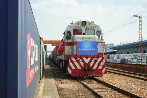 鐵路運輸助力進博會 飼料生產展品高效直達