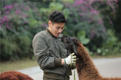 《奇妙的朋友》 收視蟬聯冠軍，飼養員與動物共成長